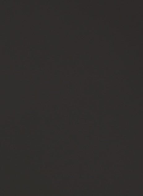 Lexington MDF Slab Custom Cabinet Door Cabinet Door Cabinet Doors 'N' More Ebony Black Paint