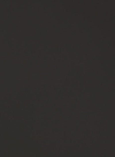 Lexington MDF Slab Custom Cabinet Door Cabinet Door Cabinet Doors 'N' More Ebony Black Paint