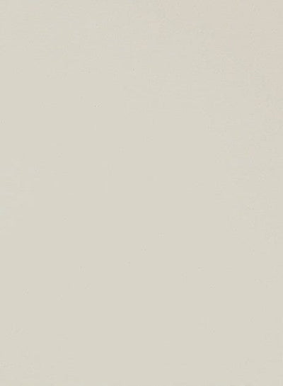 Lexington MDF Slab Custom Cabinet Door Cabinet Door Cabinet Doors 'N' More Sand Tan Paint