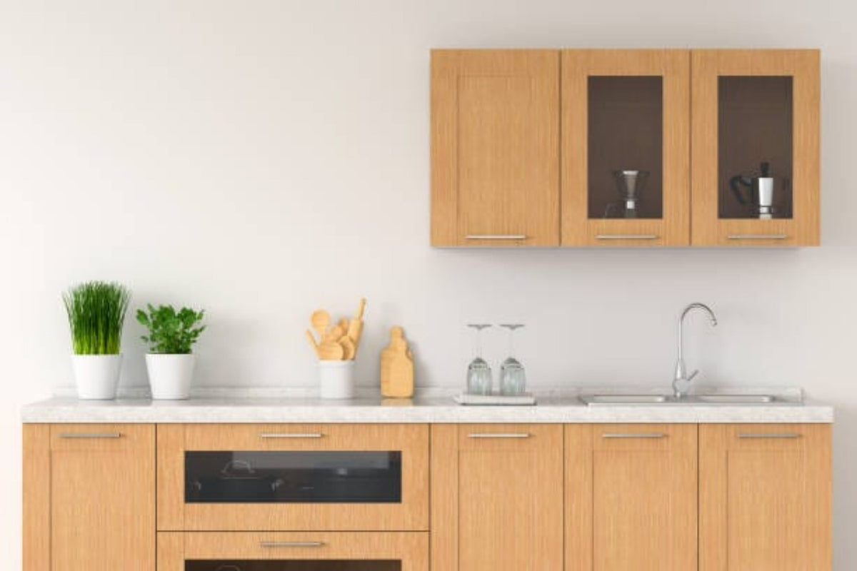 Single Glass Paned Doors Frame Only Doors 'N' More